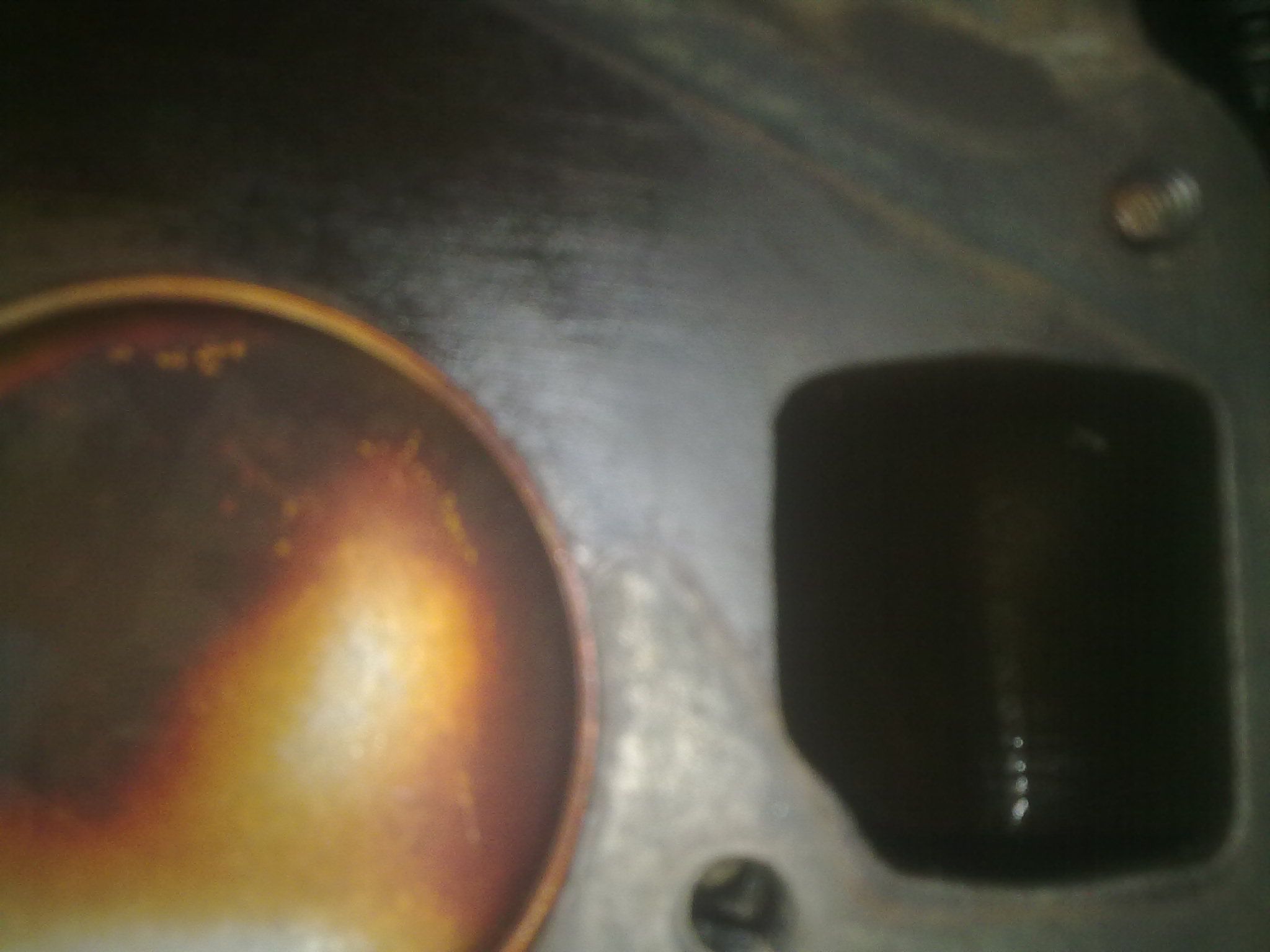 02022011615.jpg